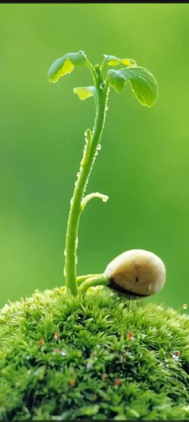 g4g来源:全网男人痛苦伤心的图片_男人伤心失望的图片15: - 抖音