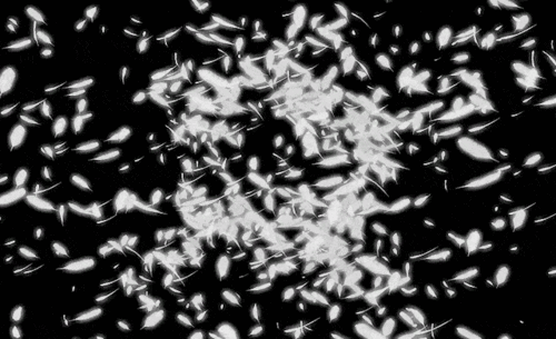 640_390gif 动态图 动图