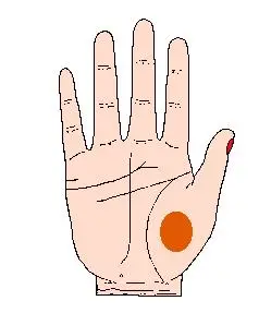 手相金星丘有痣