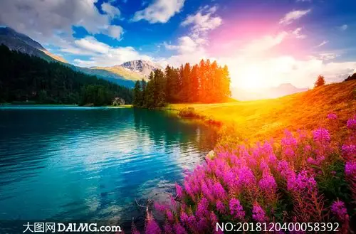 清晨阳光下美丽的湖泊摄影图片