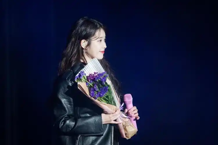 iu李知恩图片 iu活动照图片