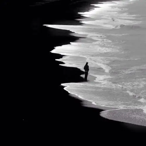 季节交换 好多人忘记好多人|黑白系背景图