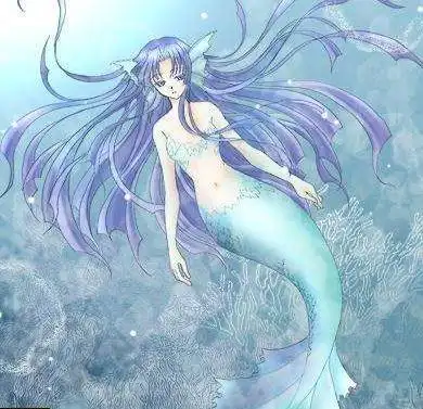 星座美人鱼图片