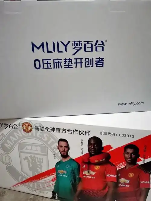 梦百合试睡初体验