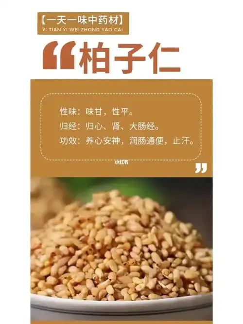 一天一味中药材柏子仁