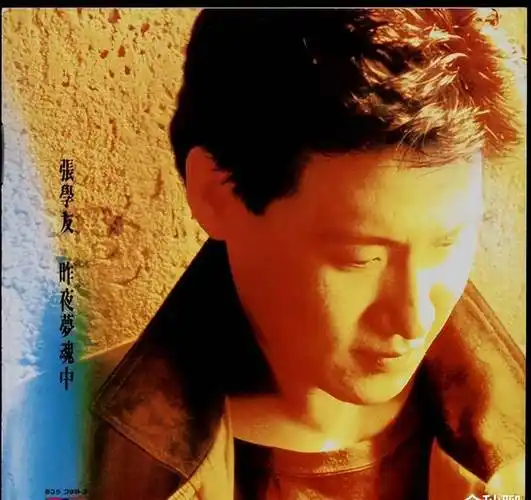 罗美薇:3年辞退21个菲佣,被张学友宠37年,她到底做了什么?