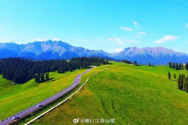 草原,森林,雪山,麦田和营地等等,还有成群的牛羊,集齐了新疆最美的几