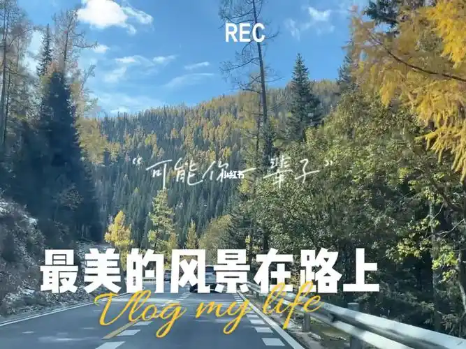 新疆自驾游金秋时节最美的风景一直在路上