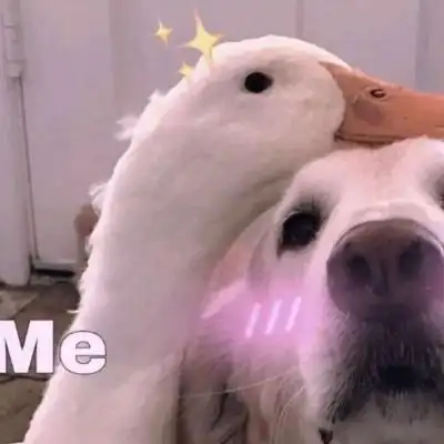 沙雕搞笑可爱动物情头_情侣头像_我要个性网