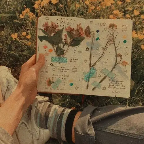 ins 复古 背景图