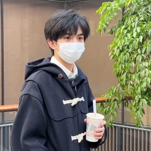 假发短发韩版帅气微分碎盖日常自然男生少年日常整顶假发