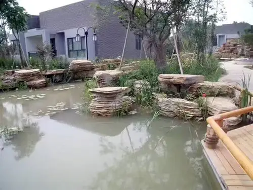 千层石驳岸案例