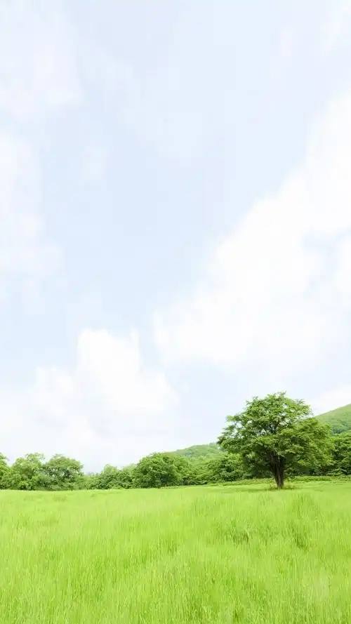 养眼绿色护眼草原风景,高清图片,手机锁屏桌面-壁纸族