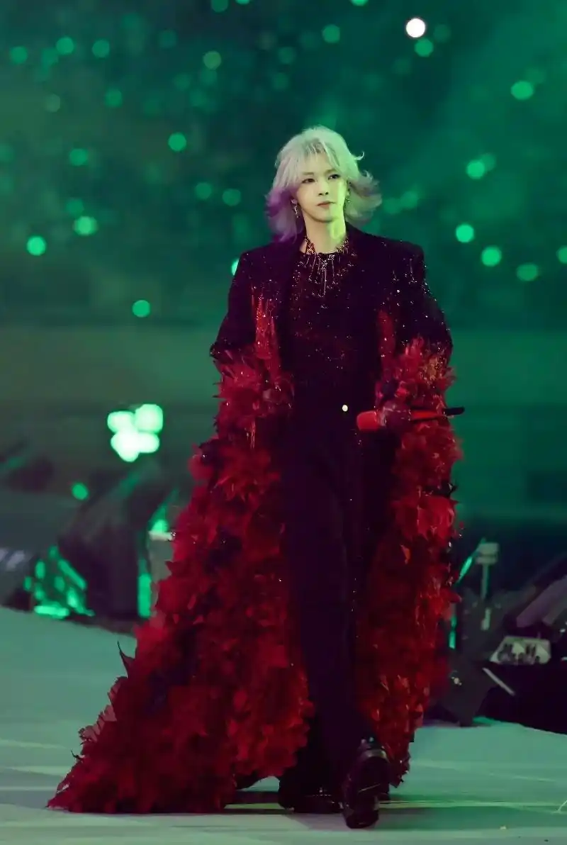 华晨宇生日快乐 等我回家.还记得2019年1月1日 跨年夜你 - 抖音