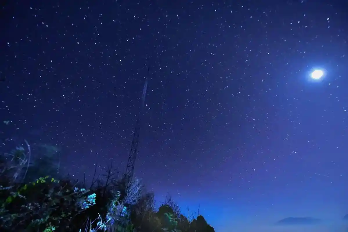 好想好想和你在一起,和你一起数天上的星星.