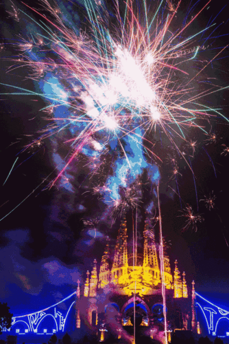 来年腰缠万贯狗年流行泡金汤除旧迎新洗福禄一定要提前预定哦!