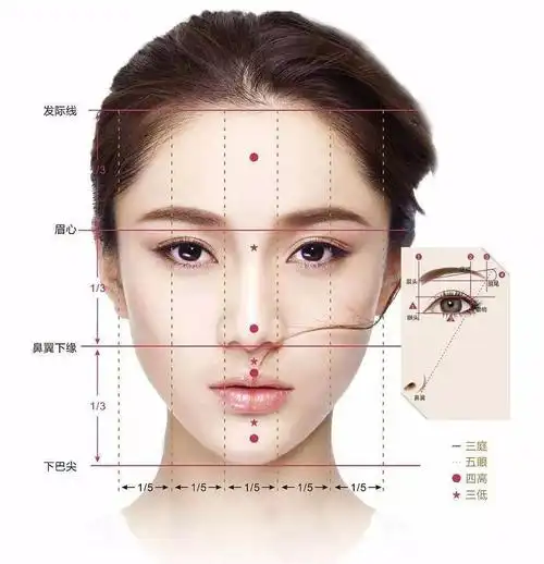 不知道从什么时候起, 突然火了一批审美博主,从三头五眼,黄金面部比例