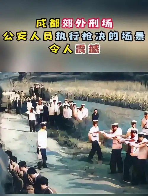 成都郊外刑场,公安人员执行枪决的场景,令人震撼