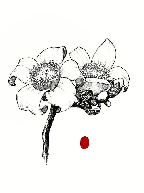 木棉花手绘步骤教程图,特别适合新手小白学习画画,简单好看易上手