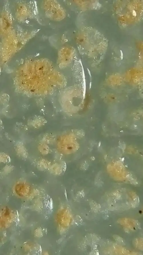 宋代官窑瓷器及微观图