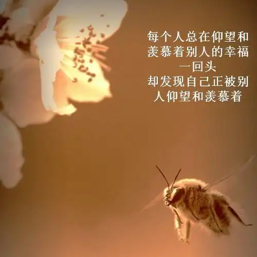 值得欣赏的人生感悟图片