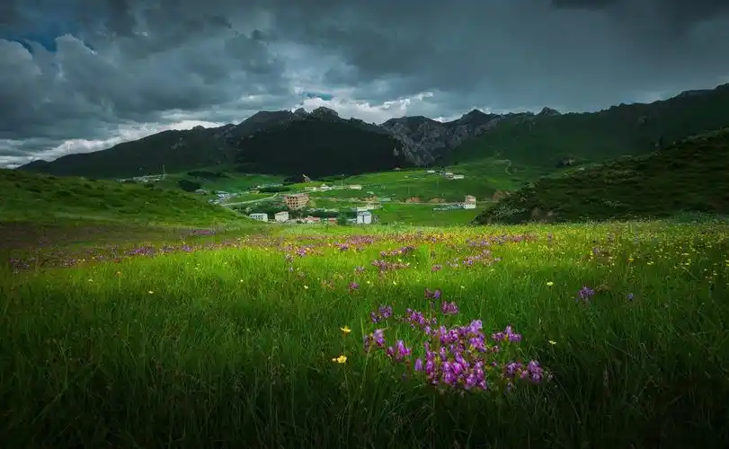 盘点四川十大高山草甸媲美新西兰玛塔玛塔霍比特村