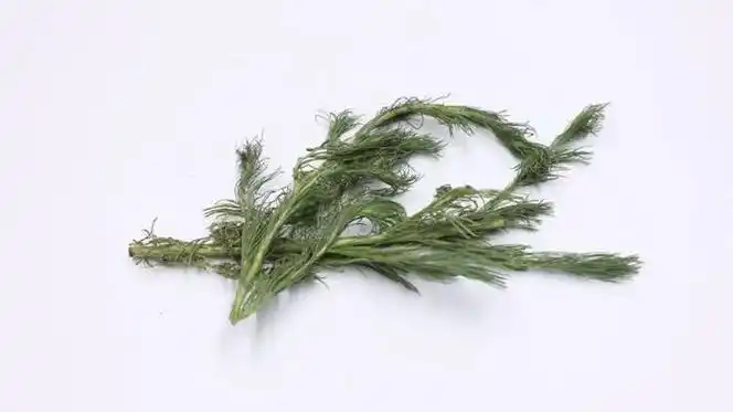 茵陈这味中药,最早出自《神农本草经》,对于茵陈最初的作用,《神农