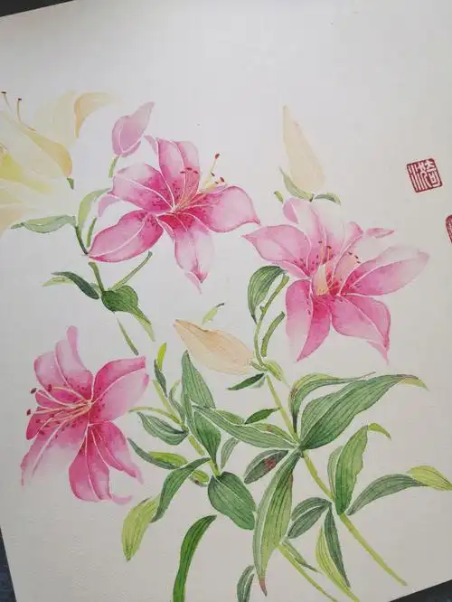 古风手绘花卉粉百合