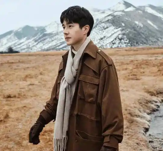 真相掺和在一堆瓜中,只是另一半给报错了_何炅_李易峰_安娜