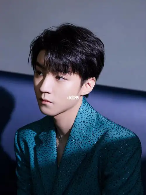 王俊凯未来可期