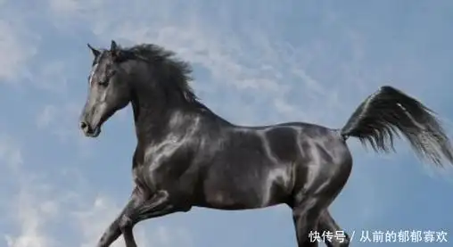 盘点中国古代5大名马不仅马厉害它们的主人也是豪杰