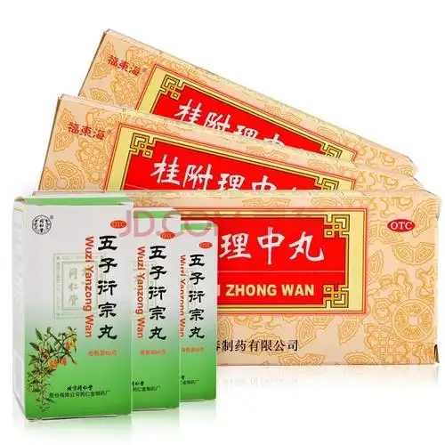 桂附理中丸 9g*10丸 温肾助阳 温中健脾 肾阳衰弱 脾胃虚寒呕吐泄泻肾