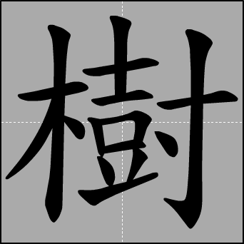 树字笔顺