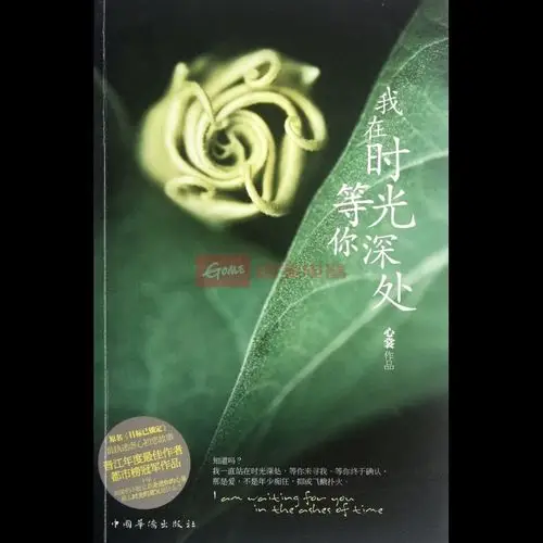 我在时光深处等你图书