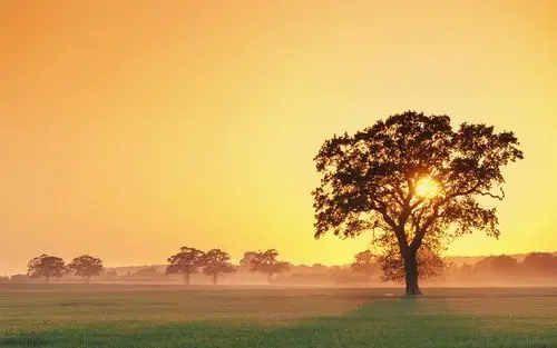 首页 桌面壁纸 唯美日出自然景色图片电脑壁纸上一张下一张查看原图