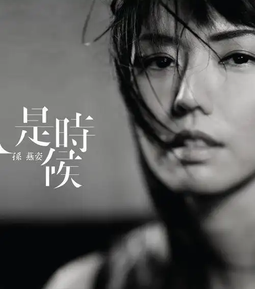 孙燕姿《是时候》专辑封面