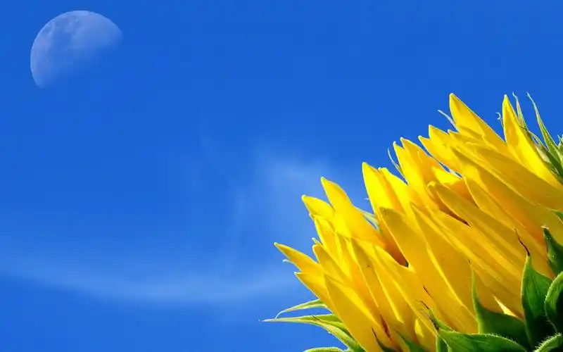 桌面首选!广阔空间绝美宽屏壁纸 _风景_太平洋电脑网