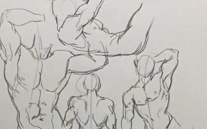 妖娆应该的肌肉猛男体练习