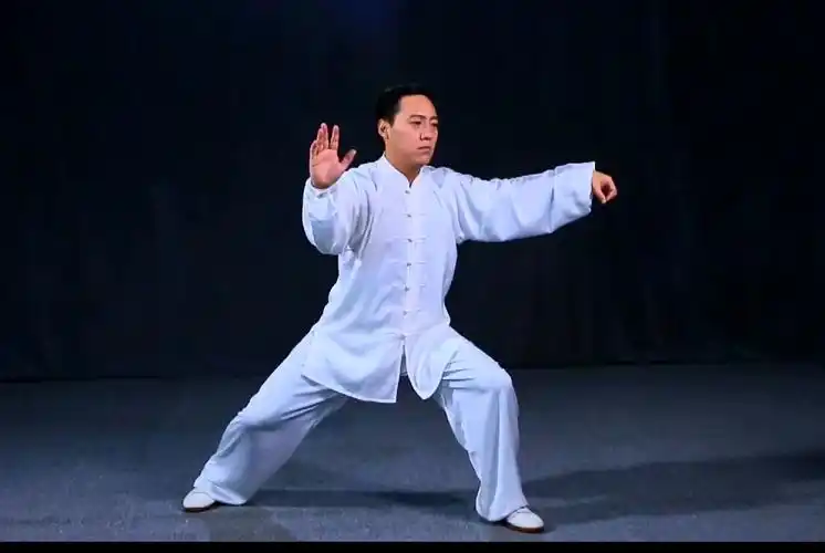 正雷太极书院陈氏太极拳老架一路陈斌老师教学第二十二式斜形