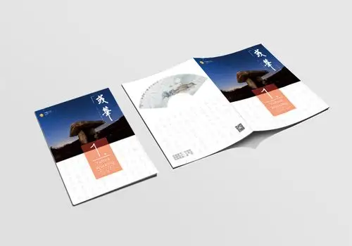 彧华期刊封面封底设计