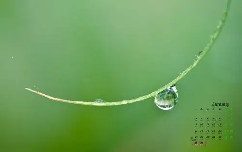 绿色清新简约季度月度半年动态ppt模板在线下载通用公司