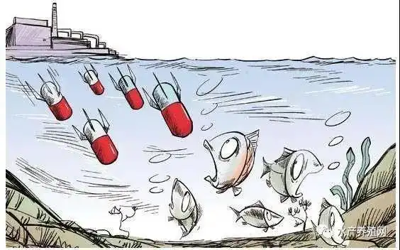 发病死鱼四五个月久治不愈损失惨重你是否也掉进了这5个误区