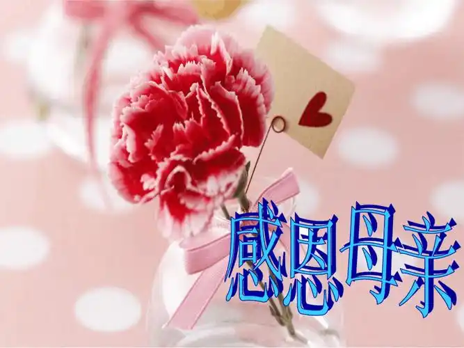 感恩母亲文字可编辑.ppt 35页