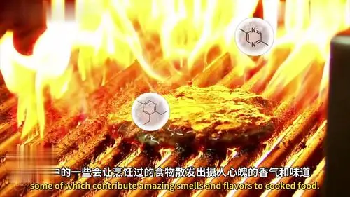 中字最美味的化学反应美拉德反应