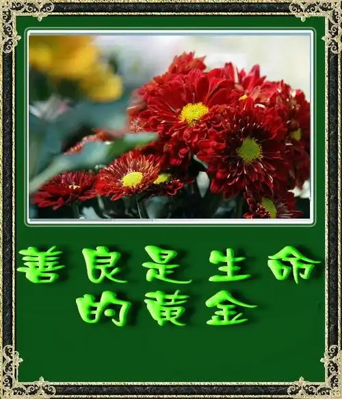 写美篇        的确,在多年的日常生活和工作中,我受母亲"慈悲,善良