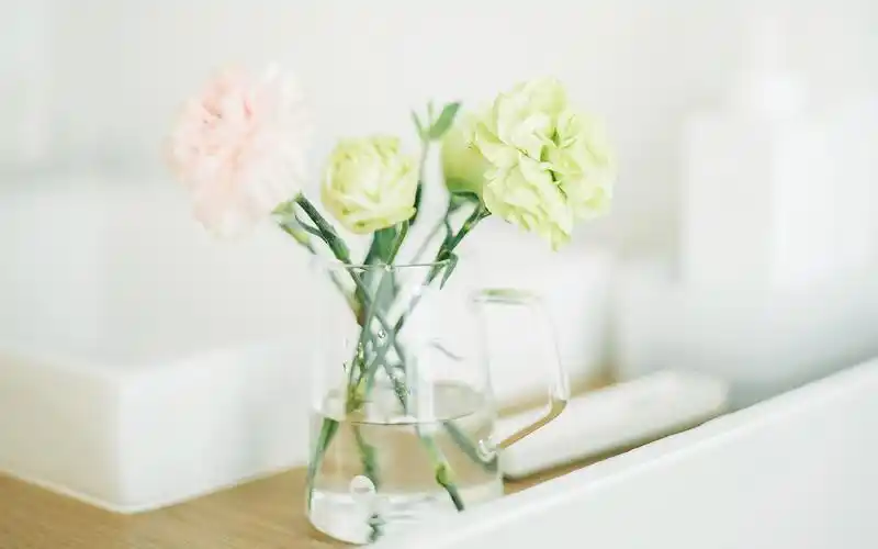 简约小清新静物图片电脑桌面壁纸