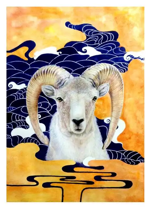 《盘羊》|绘画习作|插画|徐雅馨xyx - 原创设计作品 - 站酷 (zcool)