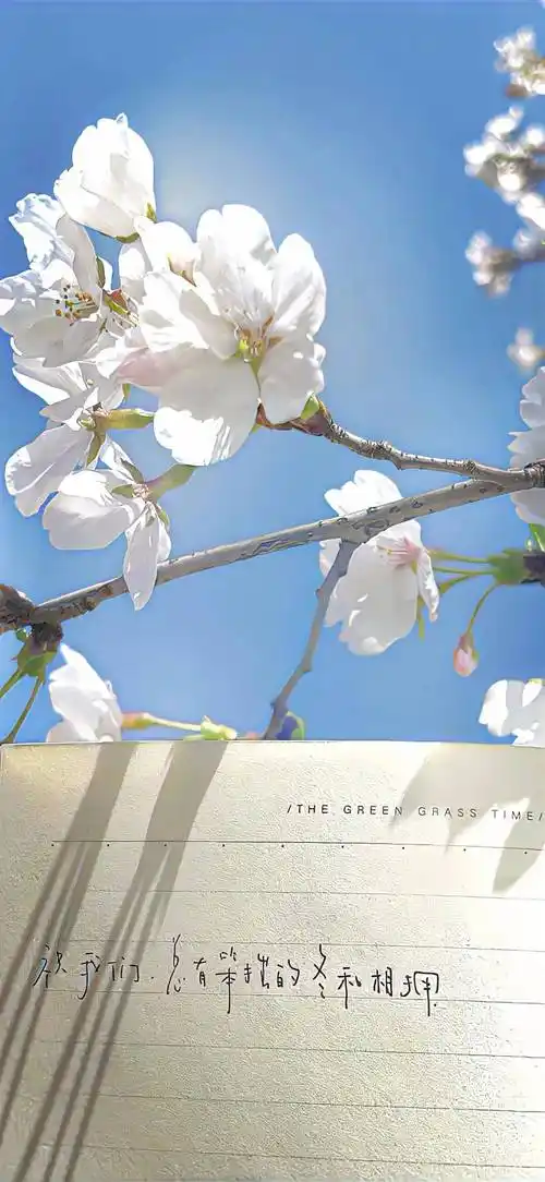 壁纸丨氛围感ins冷淡风壁纸