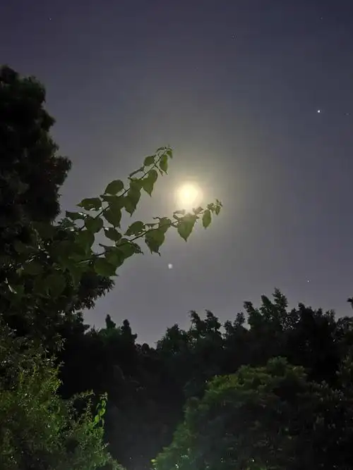 十六～星月交辉