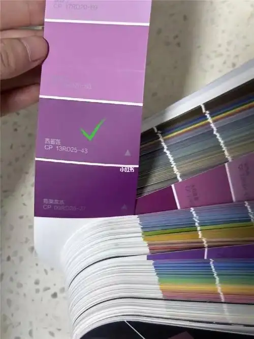 用的是星粹防霉9815添加竹炭墙面漆,色卡上这个紫色叫西蕃莲